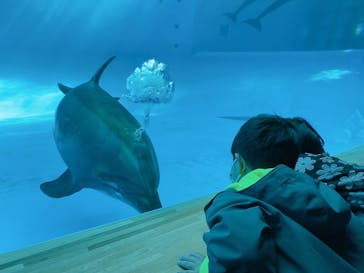 アクアワールド茨城県大洗水族館に投稿された画像（2021/11/28）