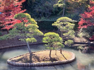 三溪園に投稿された画像（2021/11/28）