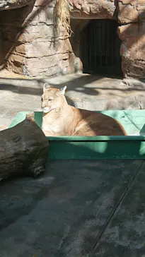 天王寺動物園に投稿された画像（2021/11/28）
