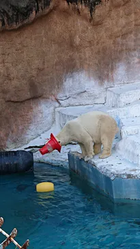 天王寺動物園に投稿された画像（2021/11/28）