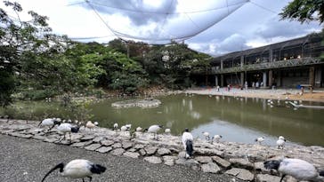 ネオパークオキナワに投稿された画像（2021/11/28）