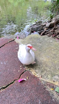 ネオパークオキナワに投稿された画像（2021/11/28）