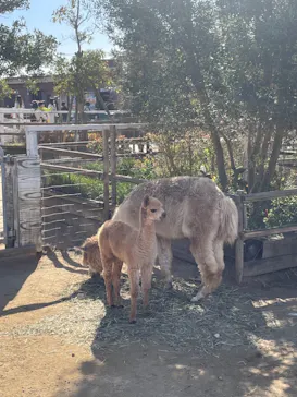 神戸どうぶつ王国に投稿された画像（2021/11/28）