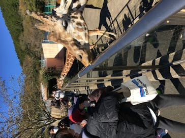 伊豆アニマルキングダムに投稿された画像（2021/11/28）