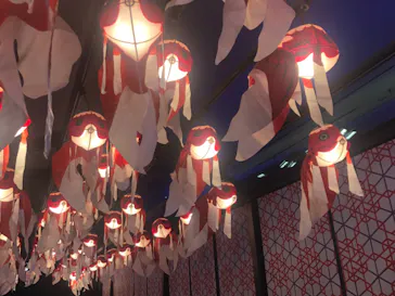 すみだ水族館に投稿された画像（2021/11/28）