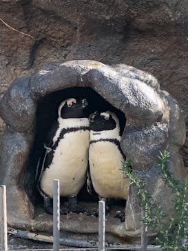 サンシャイン水族館に投稿された画像（2021/11/28）