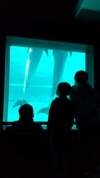 南知多ビーチランド＆南知多おもちゃ王国に投稿された画像（2021/11/28）