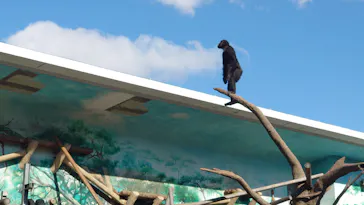 天王寺動物園に投稿された画像（2021/11/28）