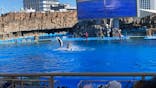 名古屋港水族館に投稿された画像（2021/11/28）