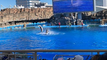 名古屋港水族館に投稿された画像（2021/11/28）