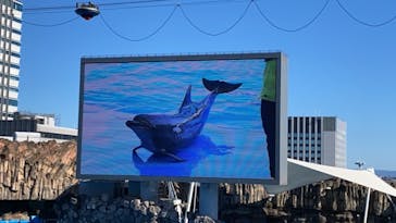 名古屋港水族館に投稿された画像（2021/11/28）