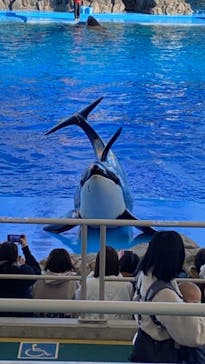 名古屋港水族館に投稿された画像（2021/11/28）