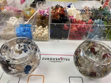 ずこうしつ〜sugamo〜に投稿された画像（2021/11/28）