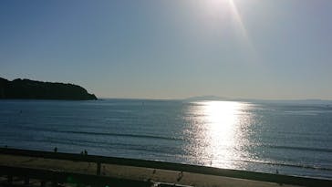 新江ノ島水族館に投稿された画像（2021/11/28）