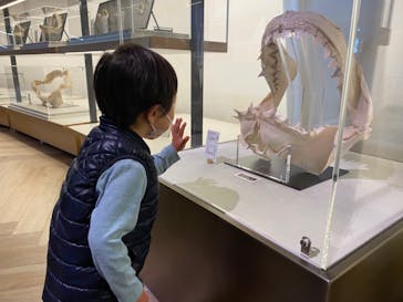 アクアワールド茨城県大洗水族館に投稿された画像（2021/11/28）