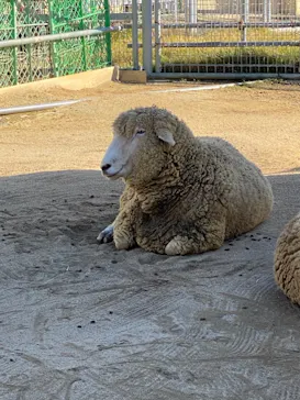 天王寺動物園に投稿された画像（2021/11/28）