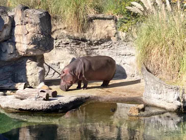 天王寺動物園に投稿された画像（2021/11/28）