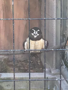 天王寺動物園に投稿された画像（2021/11/28）