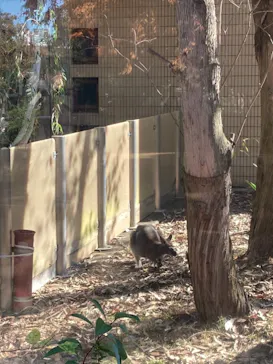 天王寺動物園に投稿された画像（2021/11/28）