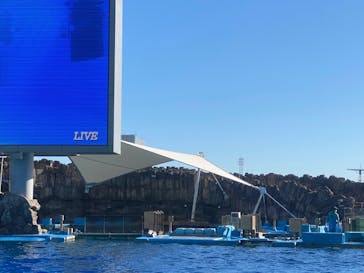 名古屋港水族館に投稿された画像（2021/11/28）