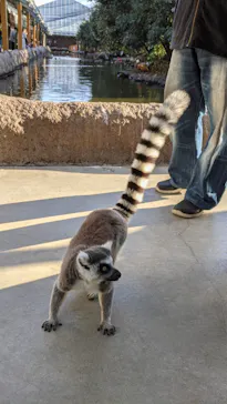 神戸どうぶつ王国に投稿された画像（2021/11/28）