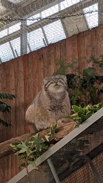 神戸どうぶつ王国に投稿された画像（2021/11/28）