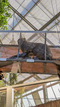 神戸どうぶつ王国に投稿された画像（2021/11/28）