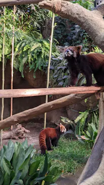 神戸どうぶつ王国に投稿された画像（2021/11/28）
