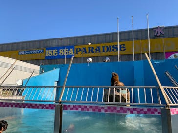 ゼロ距離水族館 伊勢シーパラダイスに投稿された画像（2021/11/28）