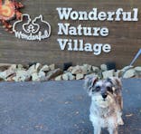 わんダフルネイチャーヴィレッジに投稿された画像（2021/11/28）