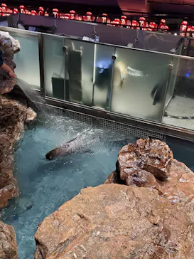すみだ水族館に投稿された画像（2021/11/28）
