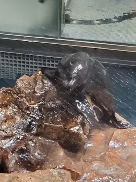 すみだ水族館に投稿された画像（2021/11/28）