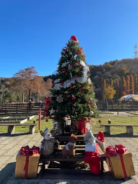 わんダフルネイチャーヴィレッジに投稿された画像（2021/11/28）