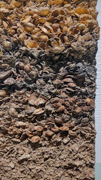 特別展「縄文2021―東京に生きた縄文人―」(江戸東京博物館）に投稿された画像（2021/11/28）