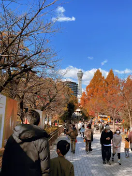 天王寺動物園に投稿された画像（2021/11/28）