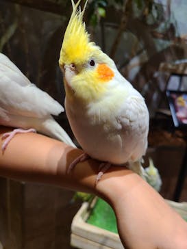 Moff animal world MARK IS みなとみらい店に投稿された画像（2021/11/28）