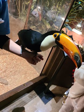 Moff animal world MARK IS みなとみらい店に投稿された画像（2021/11/28）