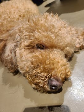 Moff animal world MARK IS みなとみらい店に投稿された画像（2021/11/28）