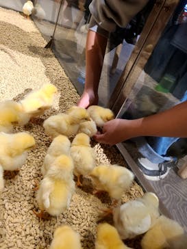 Moff animal world MARK IS みなとみらい店に投稿された画像（2021/11/28）