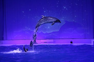 アクアワールド茨城県大洗水族館に投稿された画像（2021/11/28）