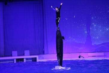 アクアワールド茨城県大洗水族館に投稿された画像（2021/11/28）