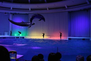アクアワールド茨城県大洗水族館に投稿された画像（2021/11/28）