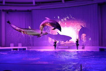 アクアワールド茨城県大洗水族館に投稿された画像（2021/11/28）