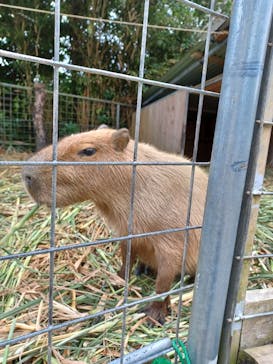 ネオパークオキナワに投稿された画像（2021/11/28）