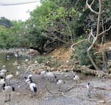 ネオパークオキナワに投稿された画像（2021/11/28）