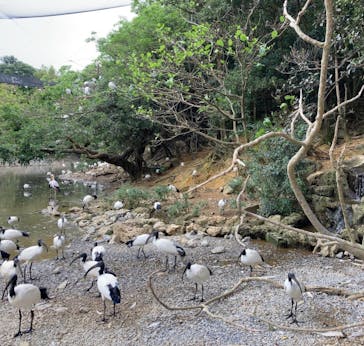 ネオパークオキナワに投稿された画像（2021/11/28）