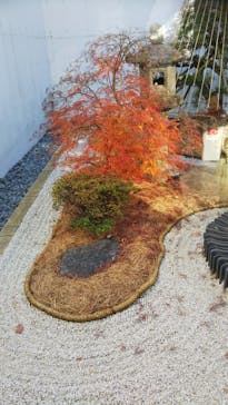 江戸東京たてもの園に投稿された画像（2021/11/28）