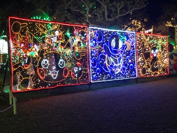 美らヤシパークオキナワ・東南植物楽園に投稿された画像（2021/11/28）