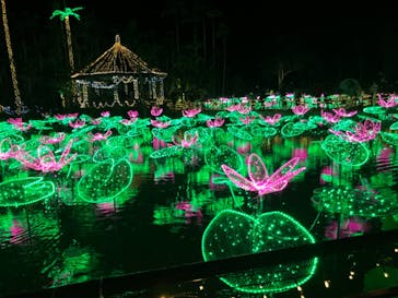 美らヤシパークオキナワ・東南植物楽園に投稿された画像（2021/11/28）