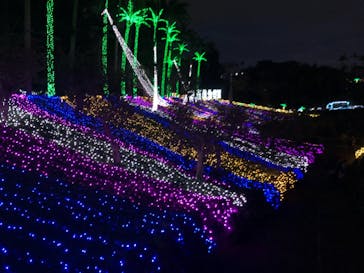 美らヤシパークオキナワ・東南植物楽園に投稿された画像（2021/11/28）